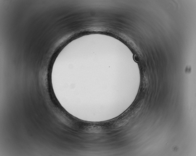 X0000102840535200809151106