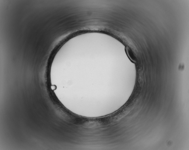 X0000102840536200809151106