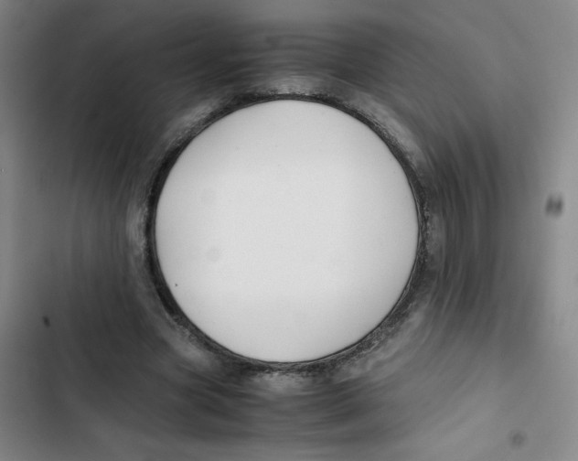 X0000102840537200809151106