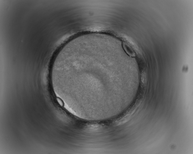 X0000102840540200809151106