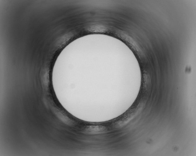 X0000102840541200809151106