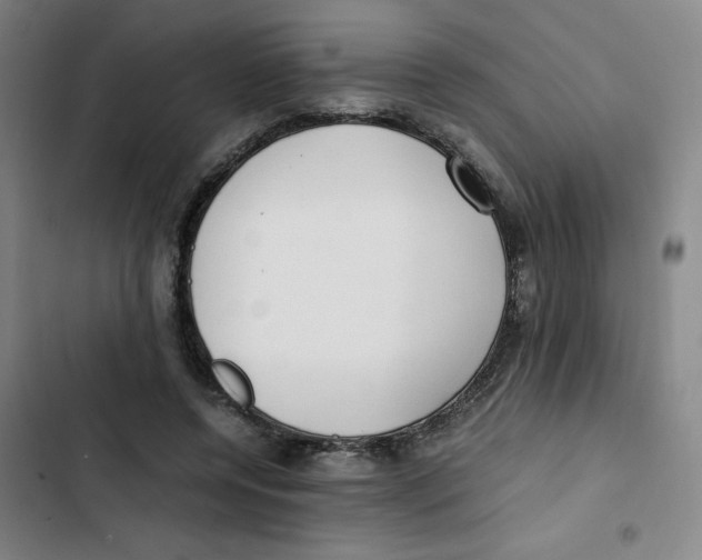 X0000102840544200809151106