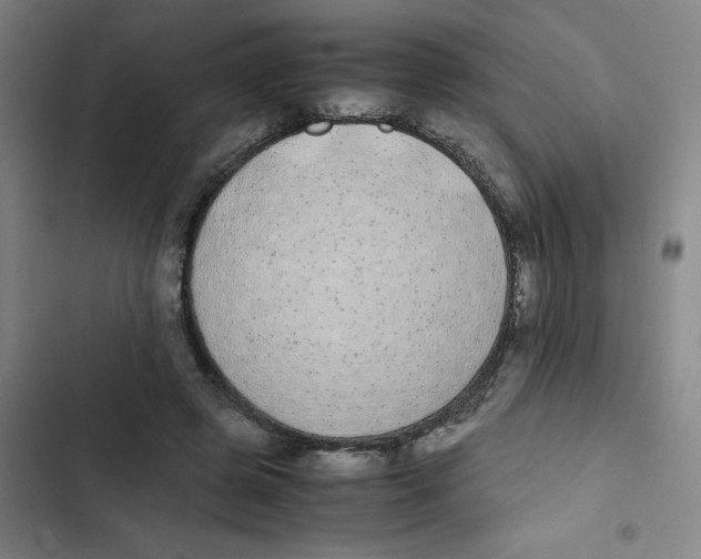 X0000102840545200809151106