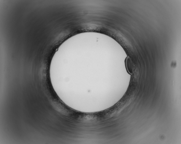 X0000102840546200809151106