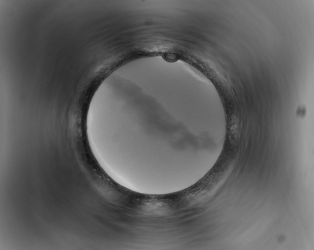 X0000102840547200809151106