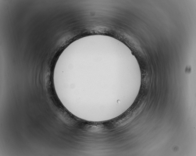 X0000102840548200809151106