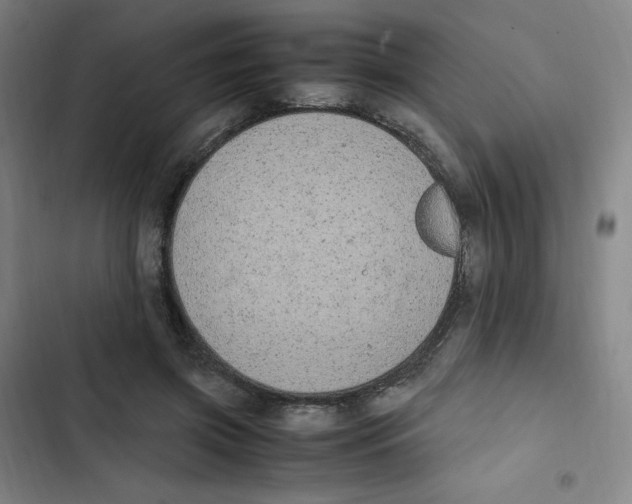 X0000102840549200809151106