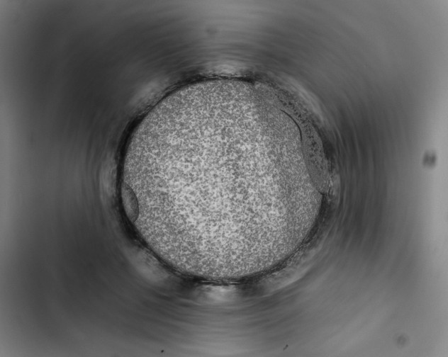 X0000102840552200809151106