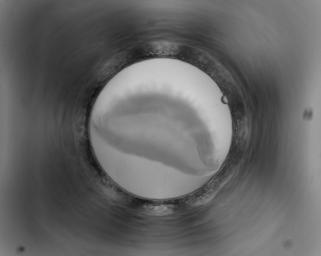 X0000102840553200809151106