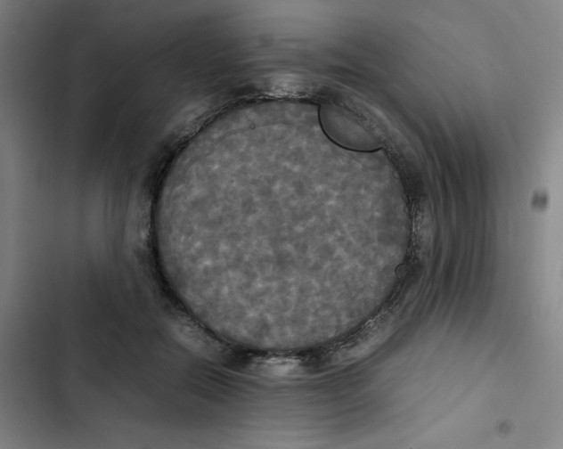 X0000102840554200809151106