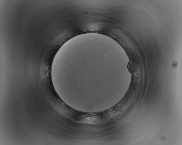 X0000102840555200809151106