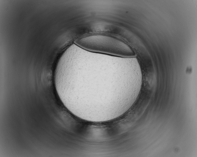 X0000102840556200809151106