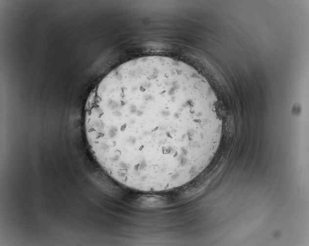 X0000102840557200809151106