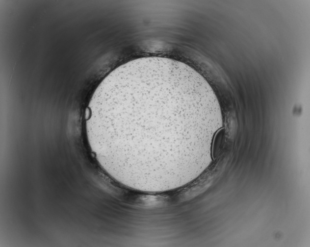 X0000102840558200809151106