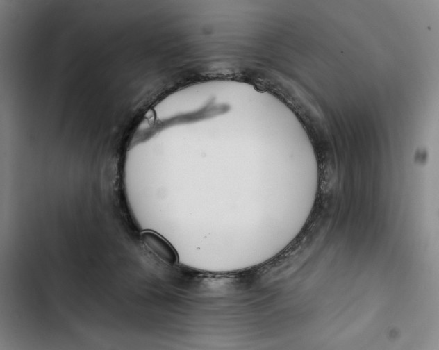 X0000102840560200809151106