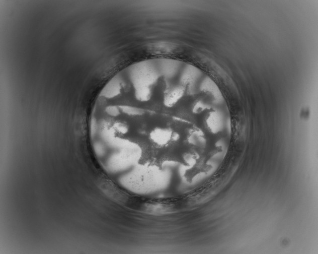 X0000102840561200809151106