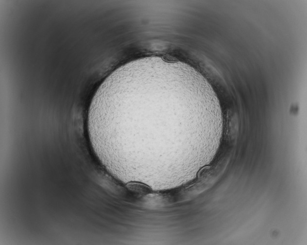 X0000102840562200809151106