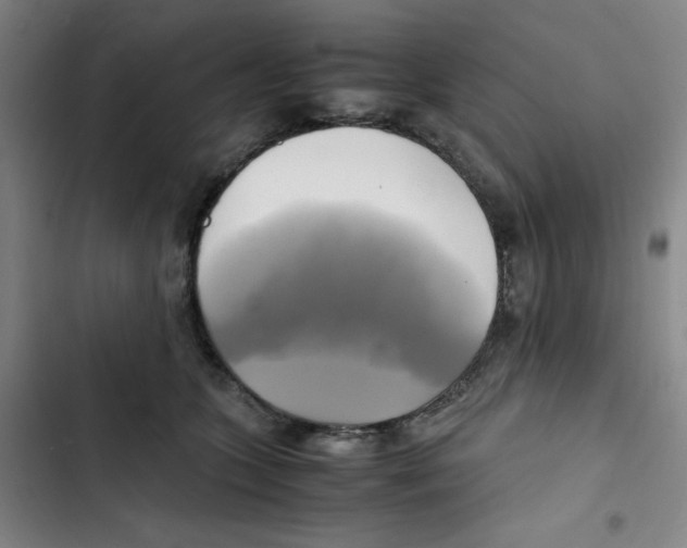 X0000102840563200809151106