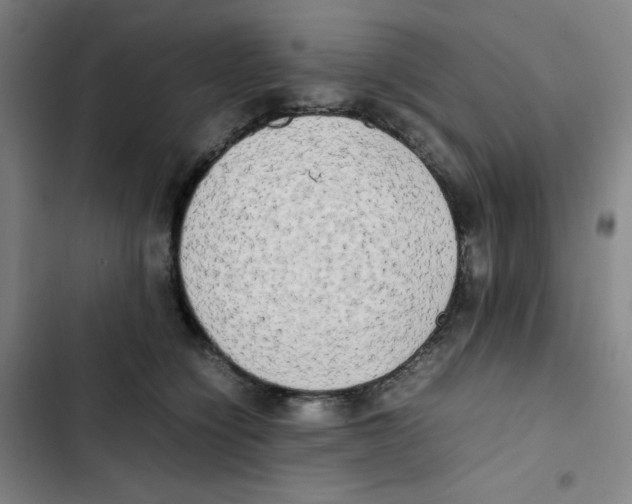 X0000102840564200809151106