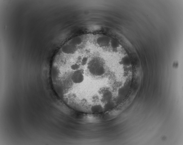 X0000102840565200809151106