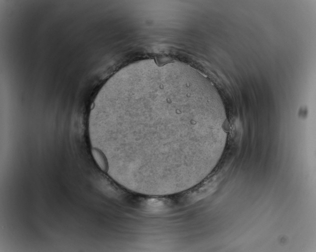 X0000102840566200809151106