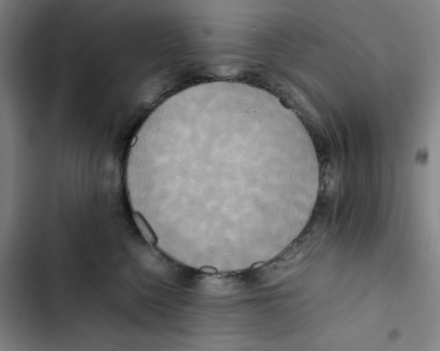 X0000102840568200809151106