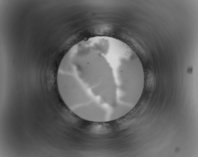 X0000102840569200809151106