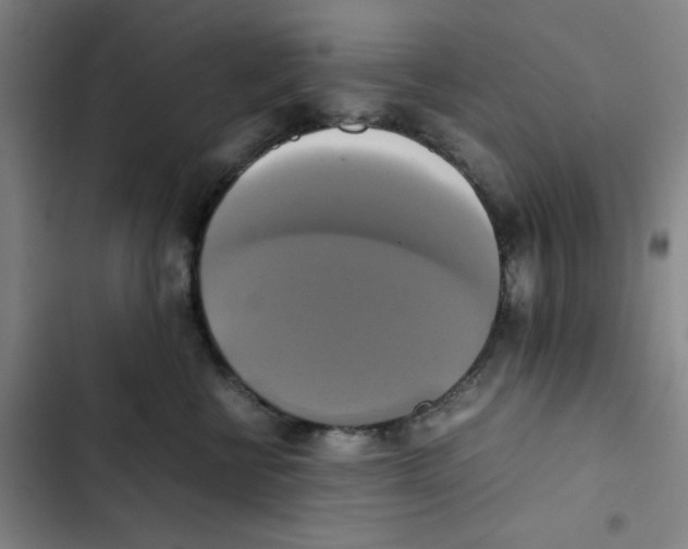 X0000102840570200809151107