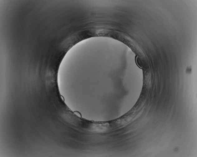 X0000102840571200809151107