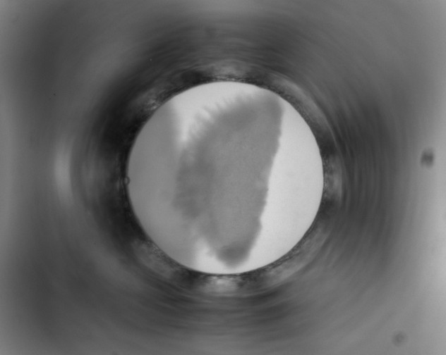 X0000102840573200809151107