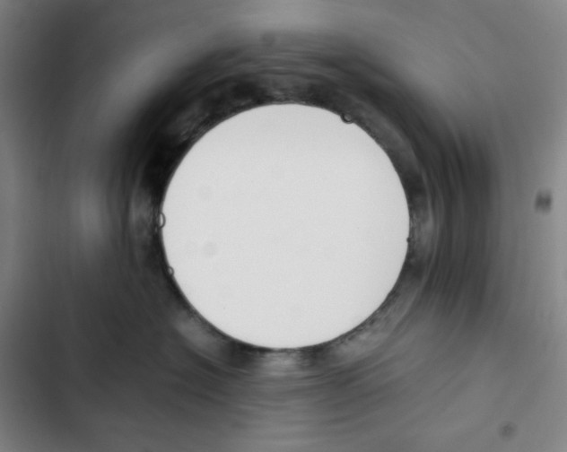 X0000102840574200809151107