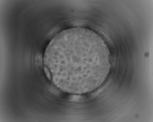 X0000102840575200809151107