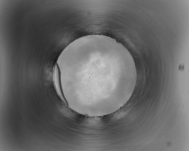 X0000102840576200809151107