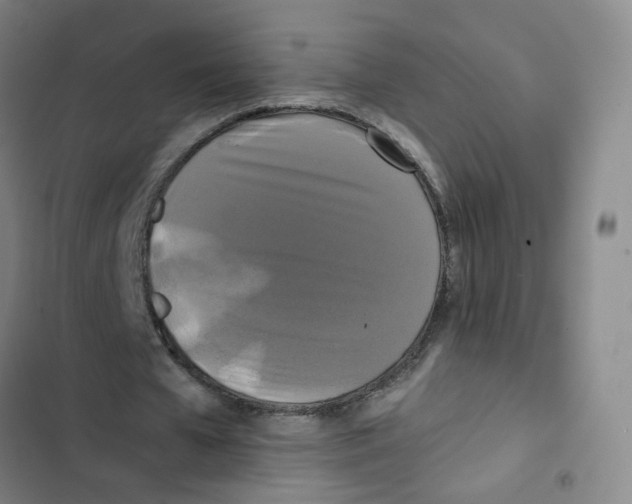 X0000102840577200809151106