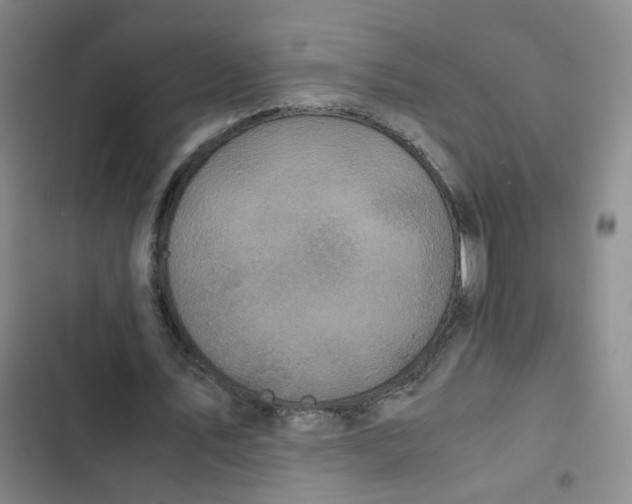 X0000102840579200809151106