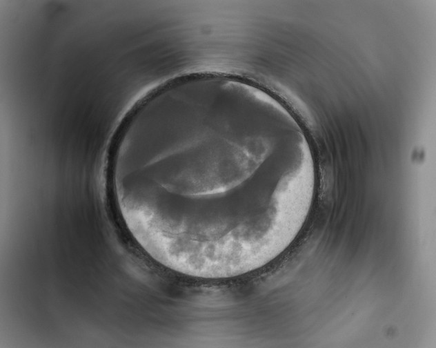 X0000102840580200809151106