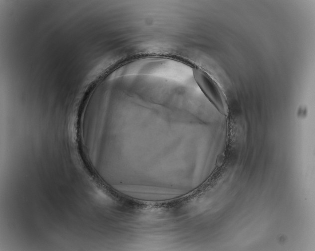 X0000102840581200809151106