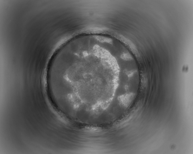 X0000102840582200809151106