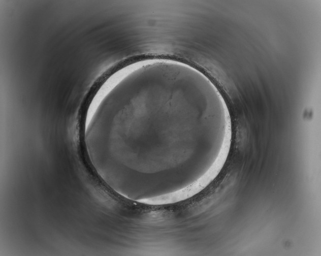 X0000102840584200809151106