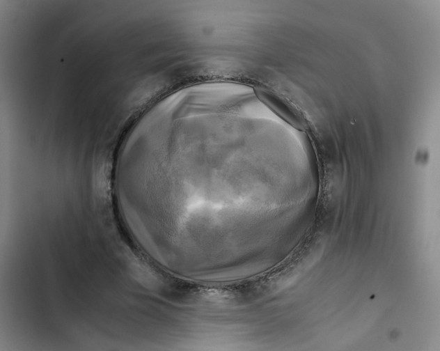 X0000102840585200809151106