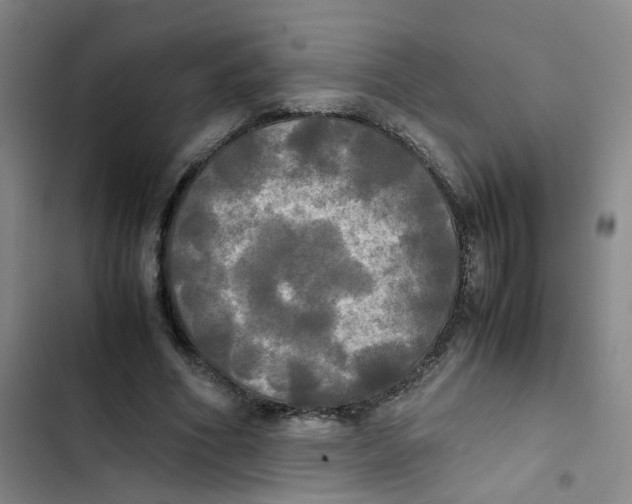 X0000102840586200809151106