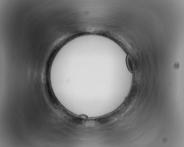 X0000102840587200809151106