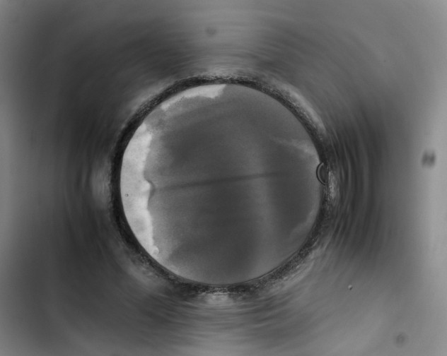 X0000102840588200809151106