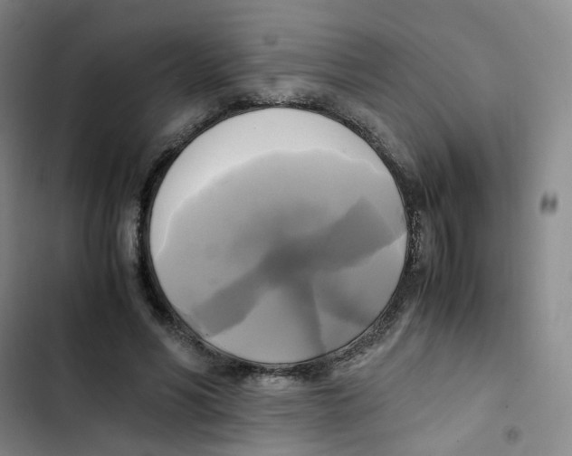 X0000102840590200809151106