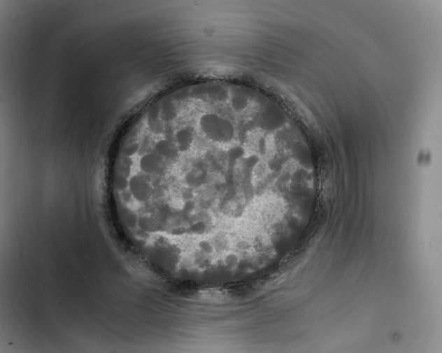 X0000102840591200809151106