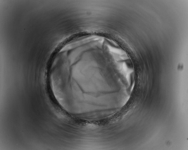 X0000102840592200809151106