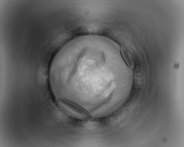 X0000102840593200809151106