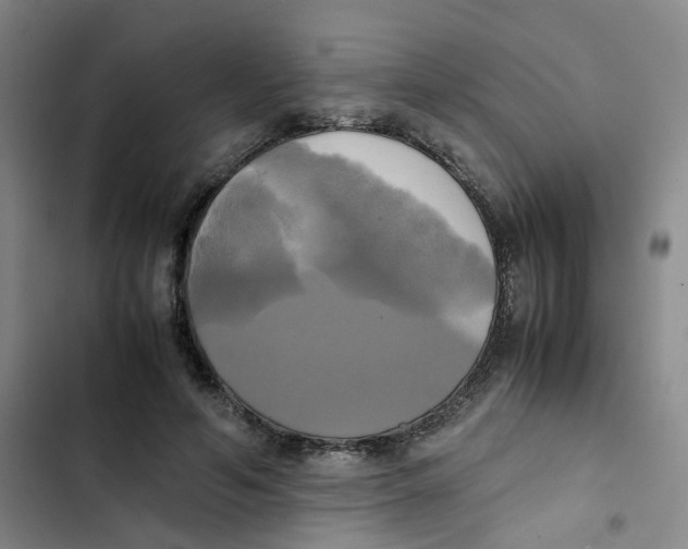 X0000102840594200809151106