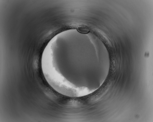 X0000102840596200809151106