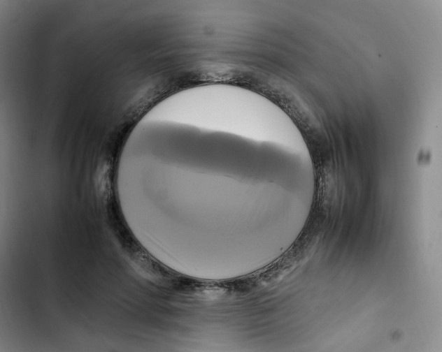 X0000102840598200809151105